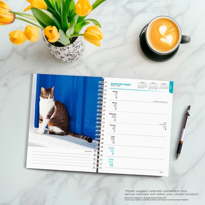 2027 BrownTrout Cat Lovers 6.5" x 7.8" Calendar Year Weekly Standard Planner, Multicolor (9798330709427)