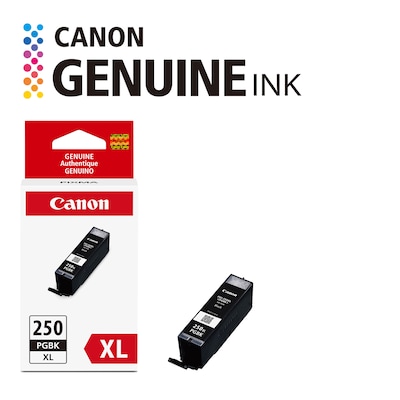 Canon 250XL Black High Yield Ink Cartridge (6432B001)