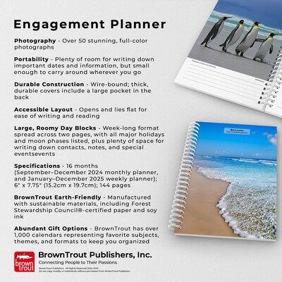 2025 BrownTrout Beaches 6" x 7.75" Weekly Engagement Planner, Paper Cover, Multicolored (9781975473198)