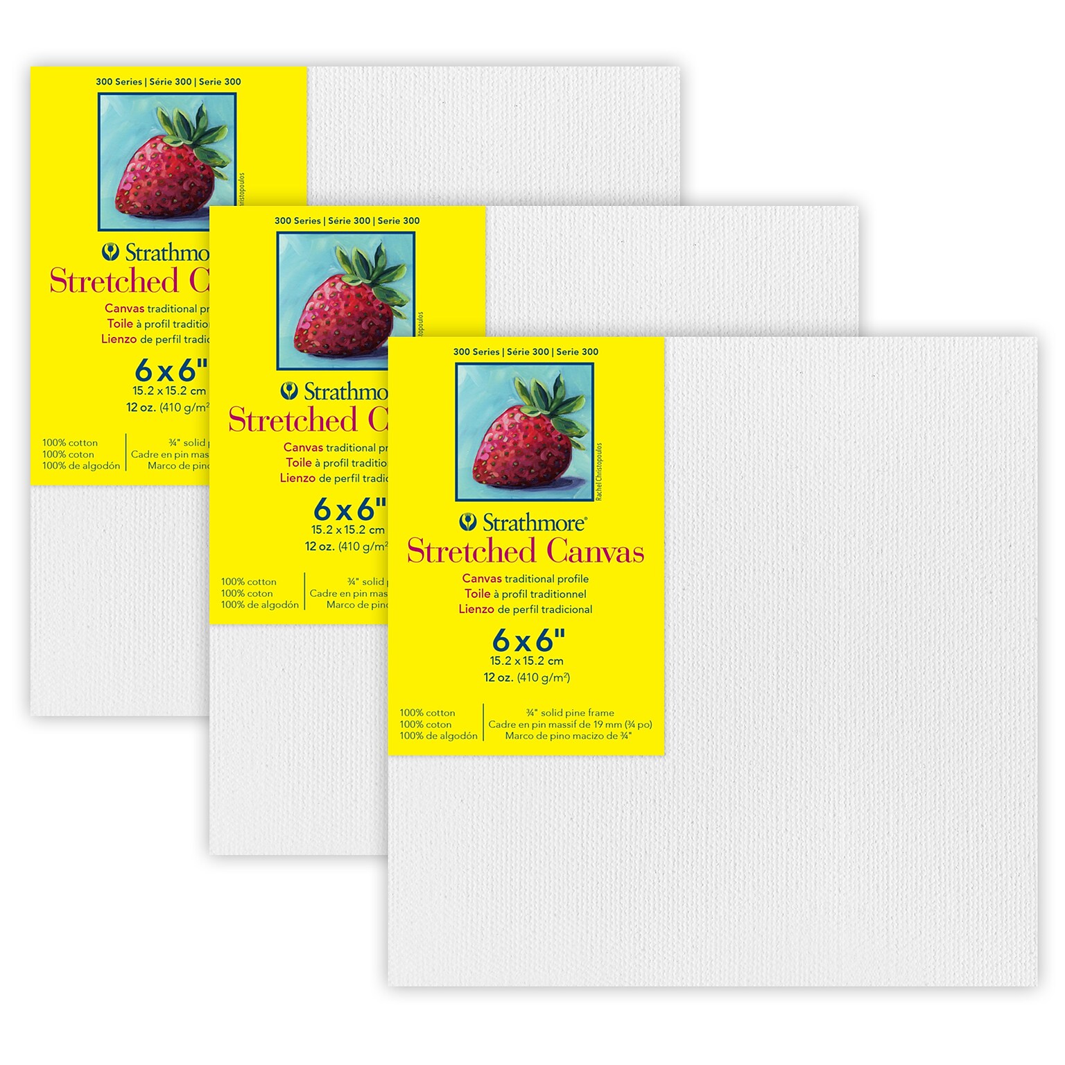 Strathmore 300 Series Primed Traditional Stretched Canvas, 6 x 6, 3/Bundle (STT31306-3)
