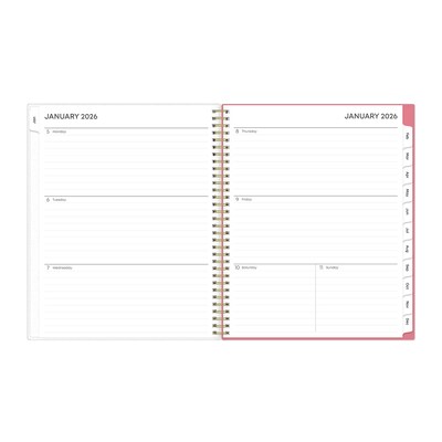 2026 Blue Sky Fly By 8.5" x 11"  Weekly & Monthly Planner, Plastic Cover, Multicolored (140195-26)