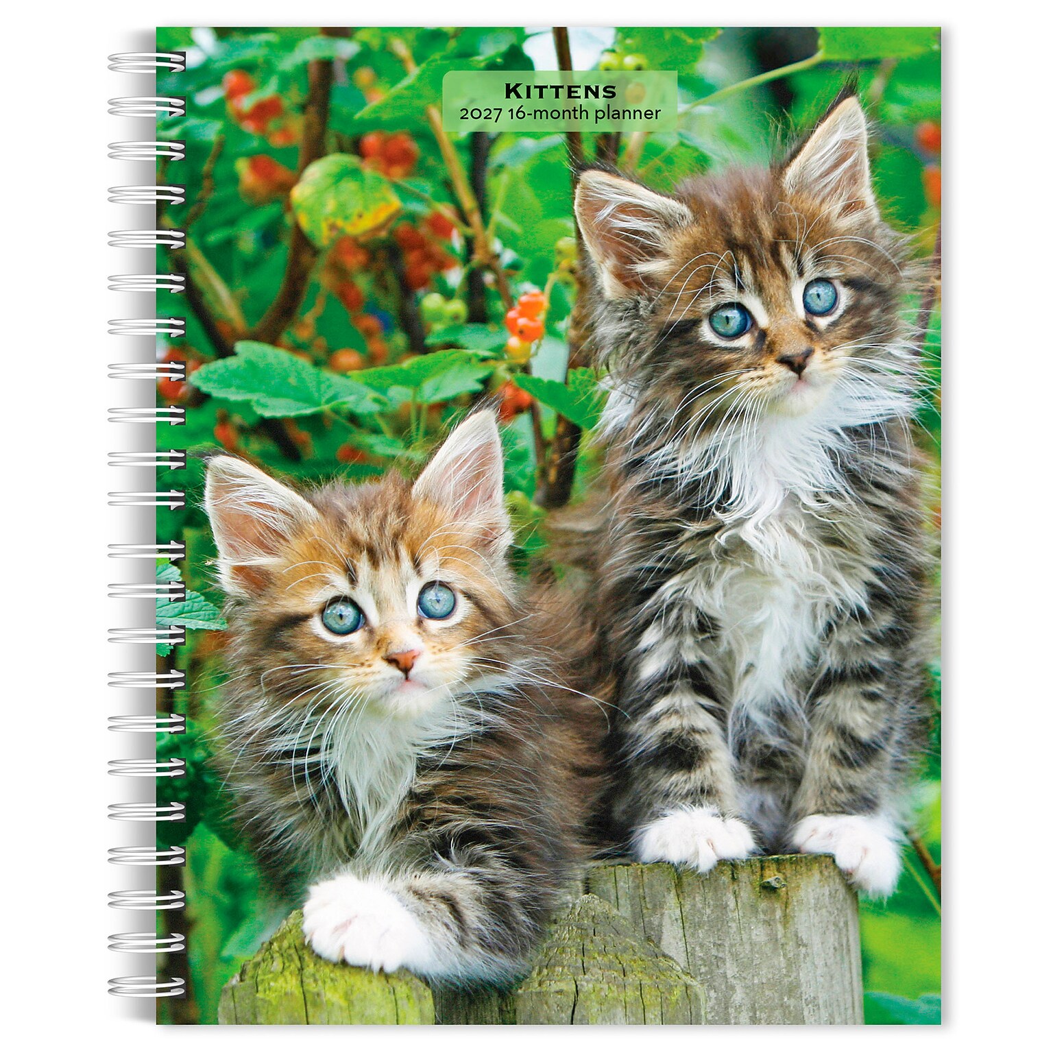 2027 BrownTrout Kittens 6.5 x 7.8 Calendar Year Weekly Standard Planner, Multicolor (9798330709434)