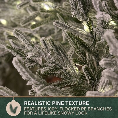 Fraser Hill Farm 24” Real Feel Pre-Lit Artificial Wreath (FFRF024W-5MSN)