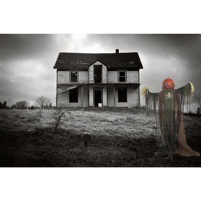 Haunted Hill Farm Life-Size Poseable Pumpkin Scarecrow (HHPUMP-4FLS)