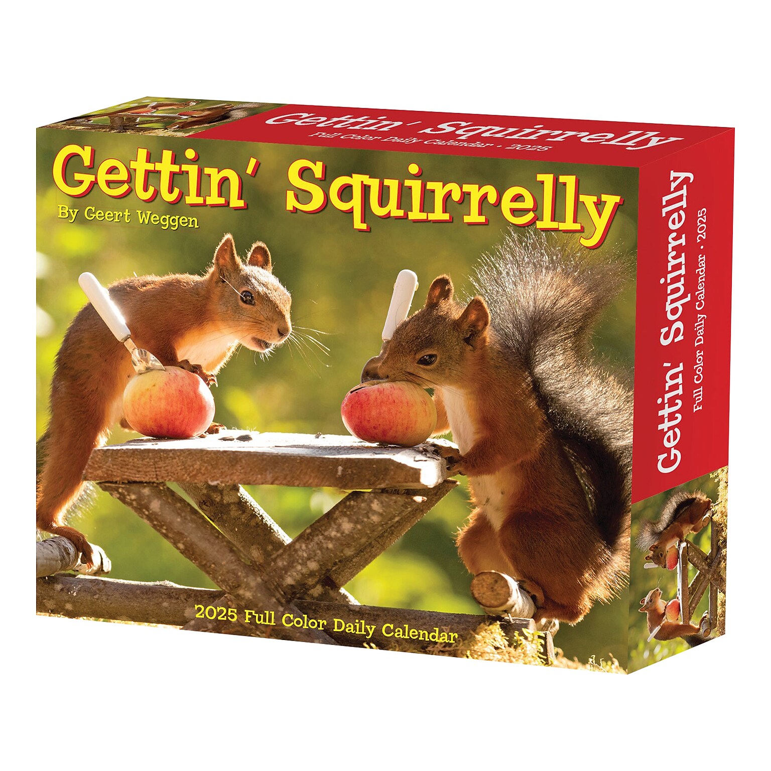 2025 Willow Creek Gettin Squirrelly 5.86 x 4.72 Day-to-Day Calendar (40850)
