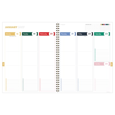 2026-2027 TF Publishing Perfectly Pink 9" x 11" Academic Weekly & Monthly Planner, Paperboard Cover (AY27-9708)