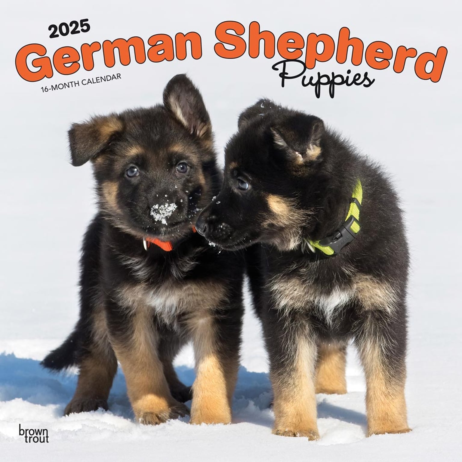 2025 BrownTrout German Shepherd Puppies 12 x 12 Monthly Square Wall Calendar (9781975477004)