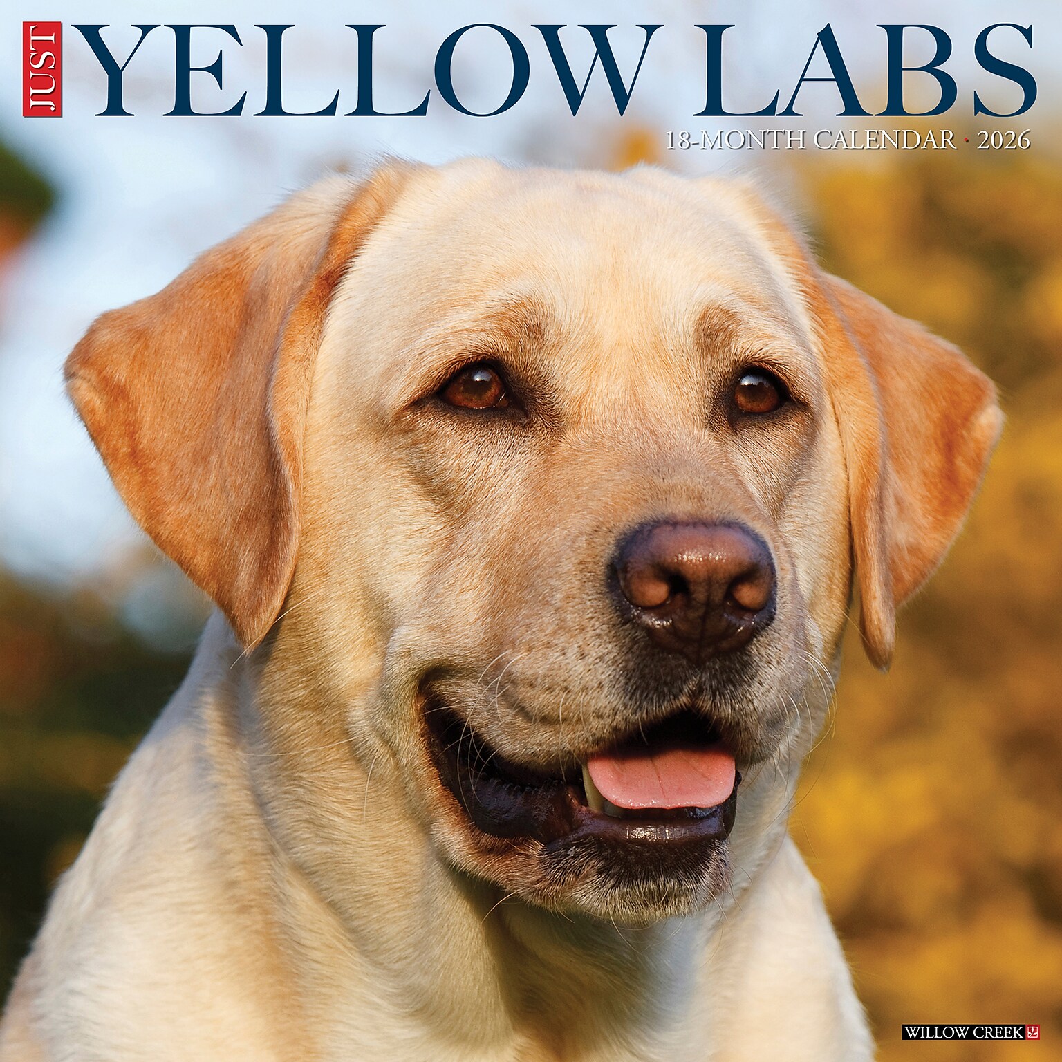 2026 Willow Creek Yellow Labs 12 x 12 Monthly Wall Calendar, Reversible (53355)