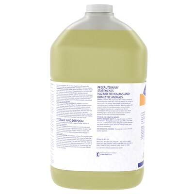 Liqu-A-Klor Liquid-Bactericide Disinfectant and Sanitizer, 1 Gallon, 4/Carton (02853280)