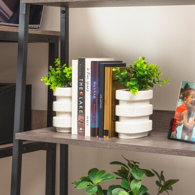 Mind Reader Concrete Book Ends, 5", White, 2/Set (OVBPLANT-WHT)