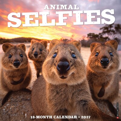 2027 Willow Creek Animal Selfies 12 x 12 Monthly Wall Calendar, Assorted Colors (58800)