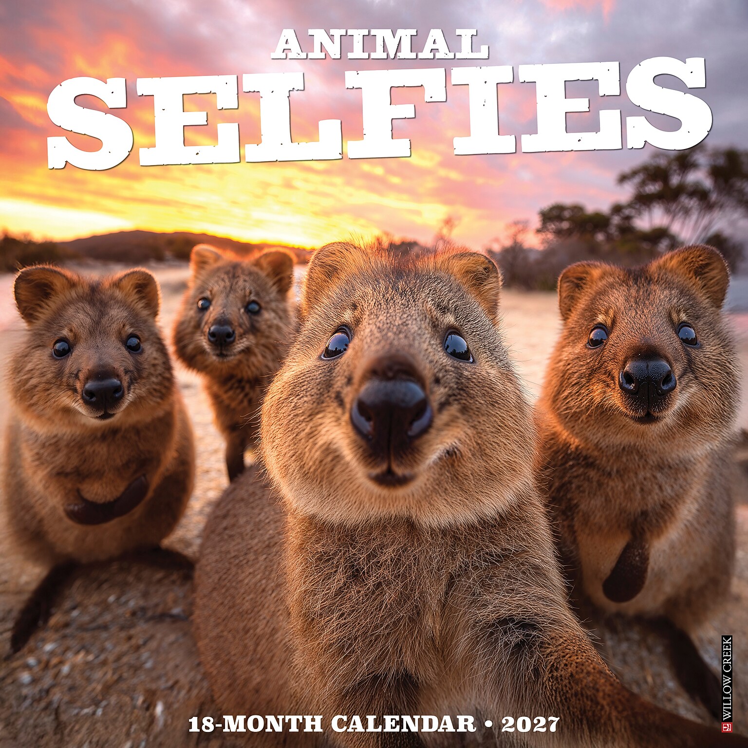 2027 Willow Creek Animal Selfies 12 x 12 Monthly Wall Calendar, Assorted Colors (58800)