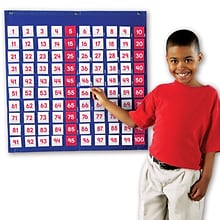 Learning Resources Hundreds Pocket Chart, 26W x 27-1/2H (LER2208)