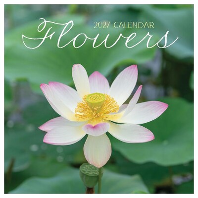 2027 TF Publishing Flowers 7 x 7 Monthly Wall Calendar, Multicolored (27-2014)