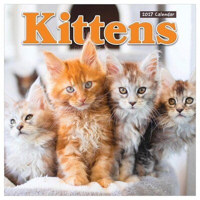 2027 TF Publishing Kittens 12 x 12 Monthly Wall Calendar (27-1013)