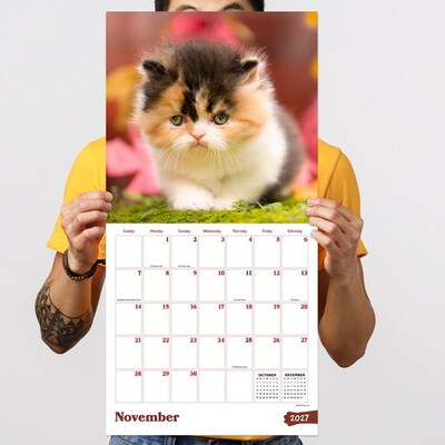 2027 TF Publishing Kittens 12" x 12" Monthly Wall Calendar (27-1013)