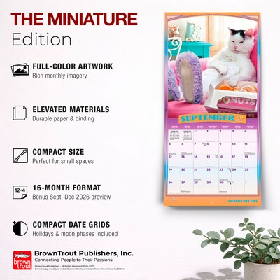 2027 BrownTrout Avanti Cranky Kitties 7" x 7" Monthly Wall Calendar, Assorted Colors (9798330712922)