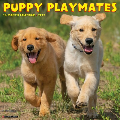2027 Willow Creek Puppy Playmates 12 x 12 Monthly Wall Calendar, Assorted Colors (61961)