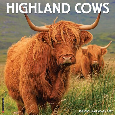 2027 Willow Creek Highland Cows 12 x 12 Monthly Wall Calendar, Assorted Colors (60667)