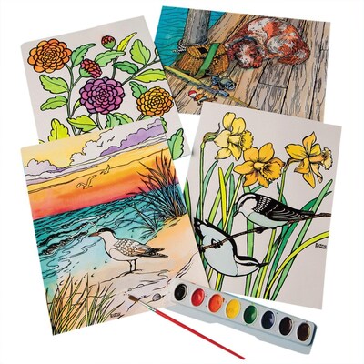 S&S Watercolor Painting Easy Pack, 316/Pack (AP294)