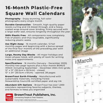 2025 BrownTrout Jack Russell Terriers 12" x 12" Monthly Wall Calendar (9781975477233)