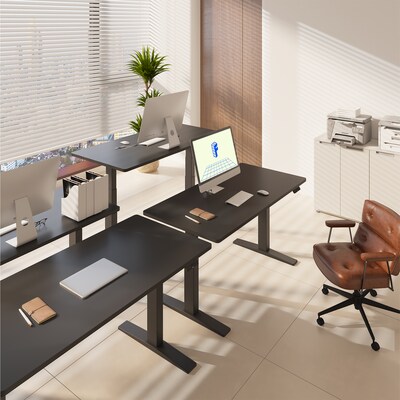 FlexiSpot E7 Commercial 60''W Electric Rectangular Adjustable Standing Desk, Black (E7BCOM6030-B)