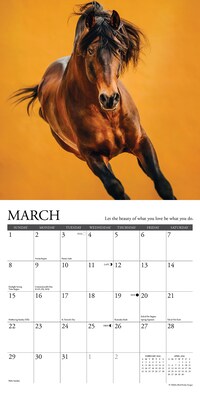2026 Willow Creek What Horses Teach Us 7" x 7" Monthly Wall Calendar (53843)