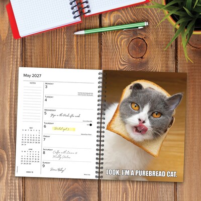 2027 Willow Creek Cat-astrophe 6.5" x 8.5" Weekly & Monthly Desk Calendar (64351)