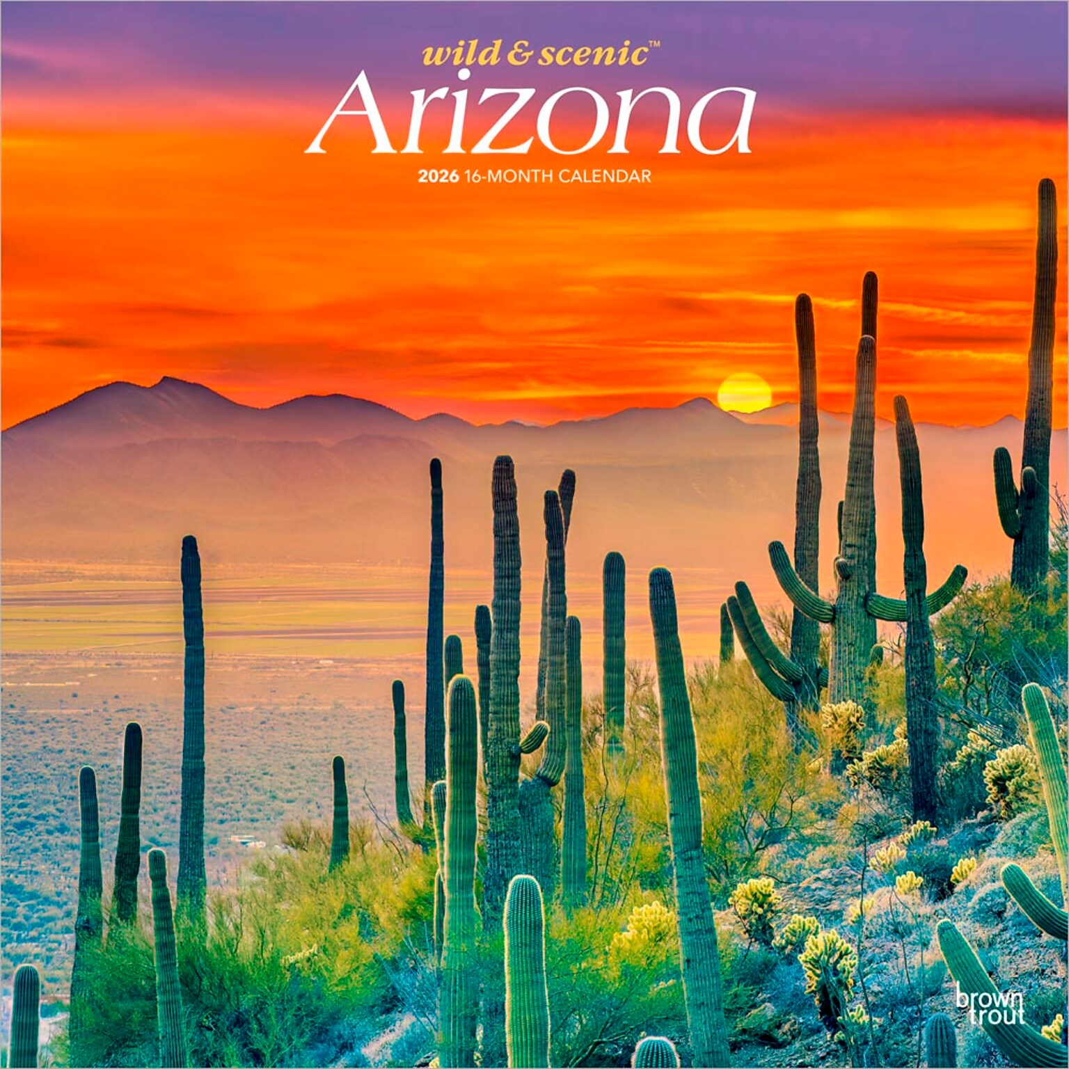 2026 BrownTrout Arizona Wild & Scenic 12 x 12 Monthly Wall Calendar (9798330702145)