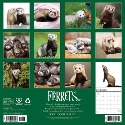 2027 Willow Creek Ferrets  12 x 12 Monthly Wall Calendar (60230)