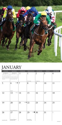 2025 Willow Creek Horse Racing 12" x 12" Monthly Wall Calendar (43363)