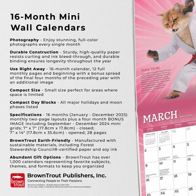 2025 BrownTrout Karate Cats 7" x 14" Monthly Mini Wall Calendar, (9781975479541)
