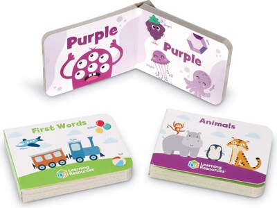 Learning Resources Skill Builders! Toddler Flash Card Flip-Books, 3 Books/Set (LER6190)