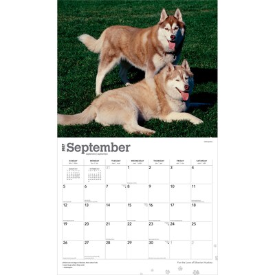 2027 BrownTrout For the Love of Siberian Huskies 14" x 12" Monthly Wall Calendar, Assorted Colors (9798330709274)