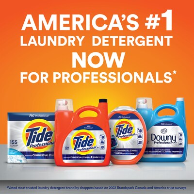 Tide Professional HE Powder Laundry Detergent, 173 Loads, 197 Oz. (14055)