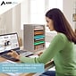 AdirOffice 500 Series 11-Compartment Literature Organizers, 10.75" x 11.75", Medium Oak (500-11-MEO-2PK)