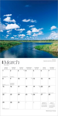 2026 BrownTrout Florida Wild & Scenic 12" x 12" Monthly Wall Calendar (9798330703272)