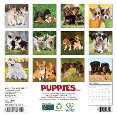 2026 Willow Creek Puppies 7 x 7 Monthly Wall Calendar (53737)