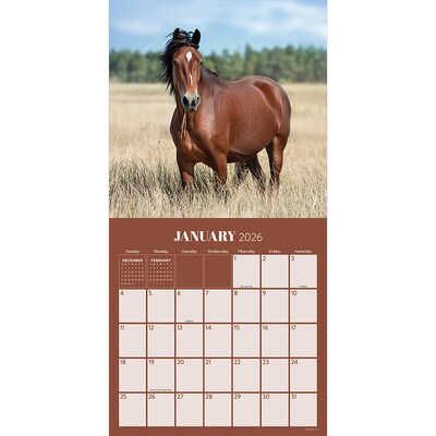 2026 TF Publishing Horses 12 x 12 Monthly Wall Calendar (26-1012)