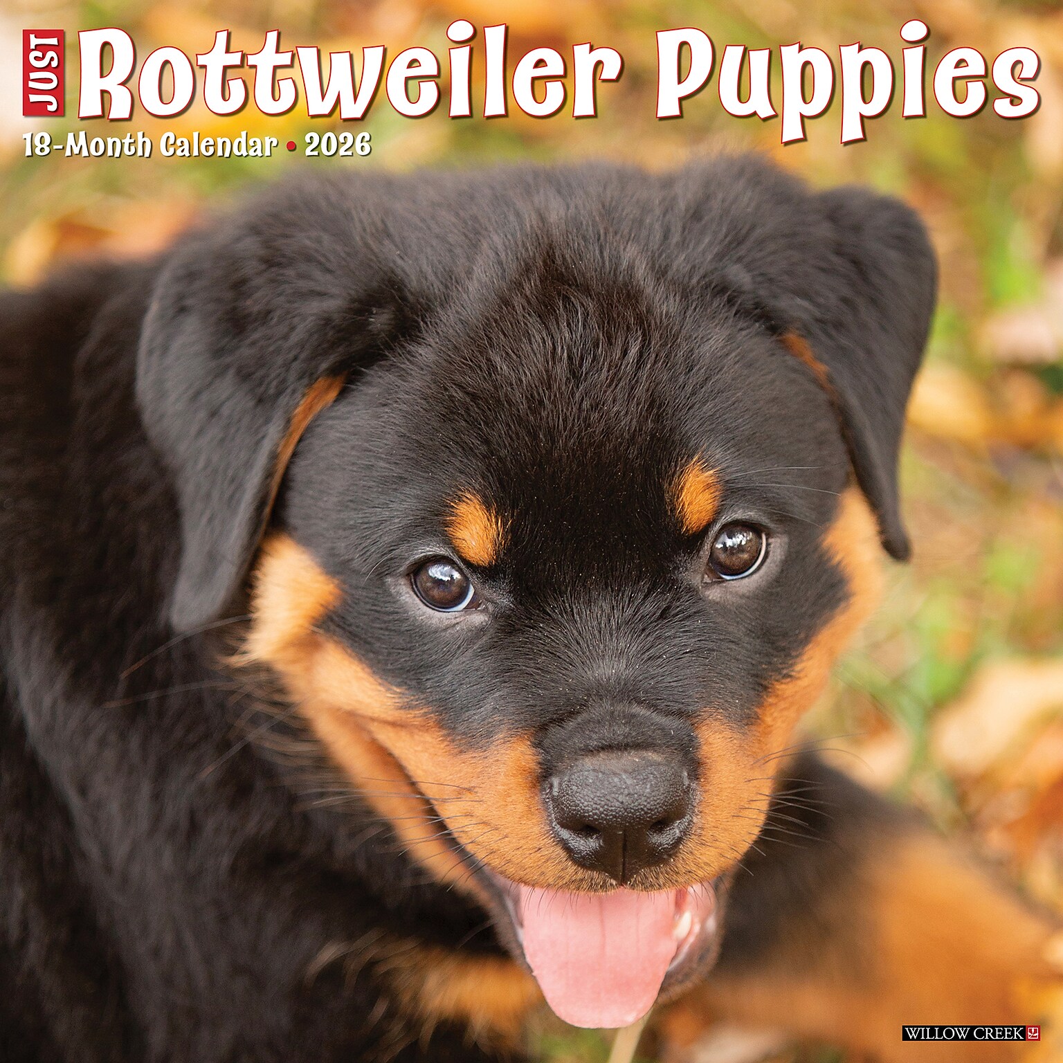 2026 Willow Creek Rottweiler Puppies 12 x 12 Monthly Wall Calendar (52600)