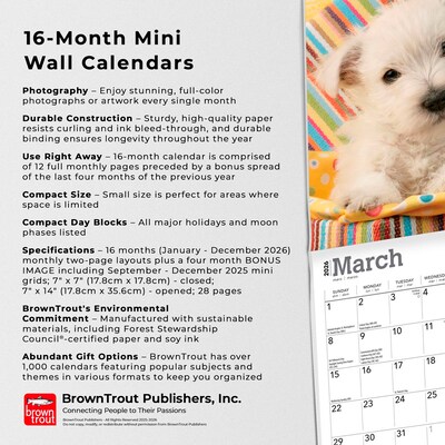 2026 BrownTrout West Highland White Terrier Puppies 7" x 7" Monthly Wall Calendar (9798330706259)