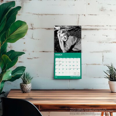 2026 BrownTrout Marilyn Monroe 7" x 7" Monthly Wall Calendar (9798330701377)