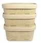 World Centric No Tree Sugarcane Container, 24 oz., Natural, 300/Carton (WORCTNT24)