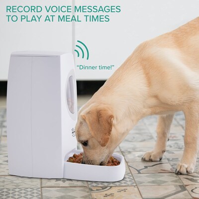 Arf Pets Automatic Pet Feeder w/ Portion Control, Voice Recording & Programmable, White (APAUF6L)