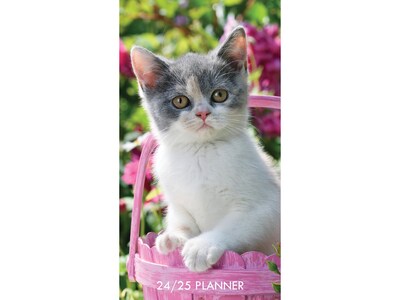 2024-2025 Willow Creek Cute As A Kitten 3.5 x 6.5 Monthly Planner, Multicolor (38475)