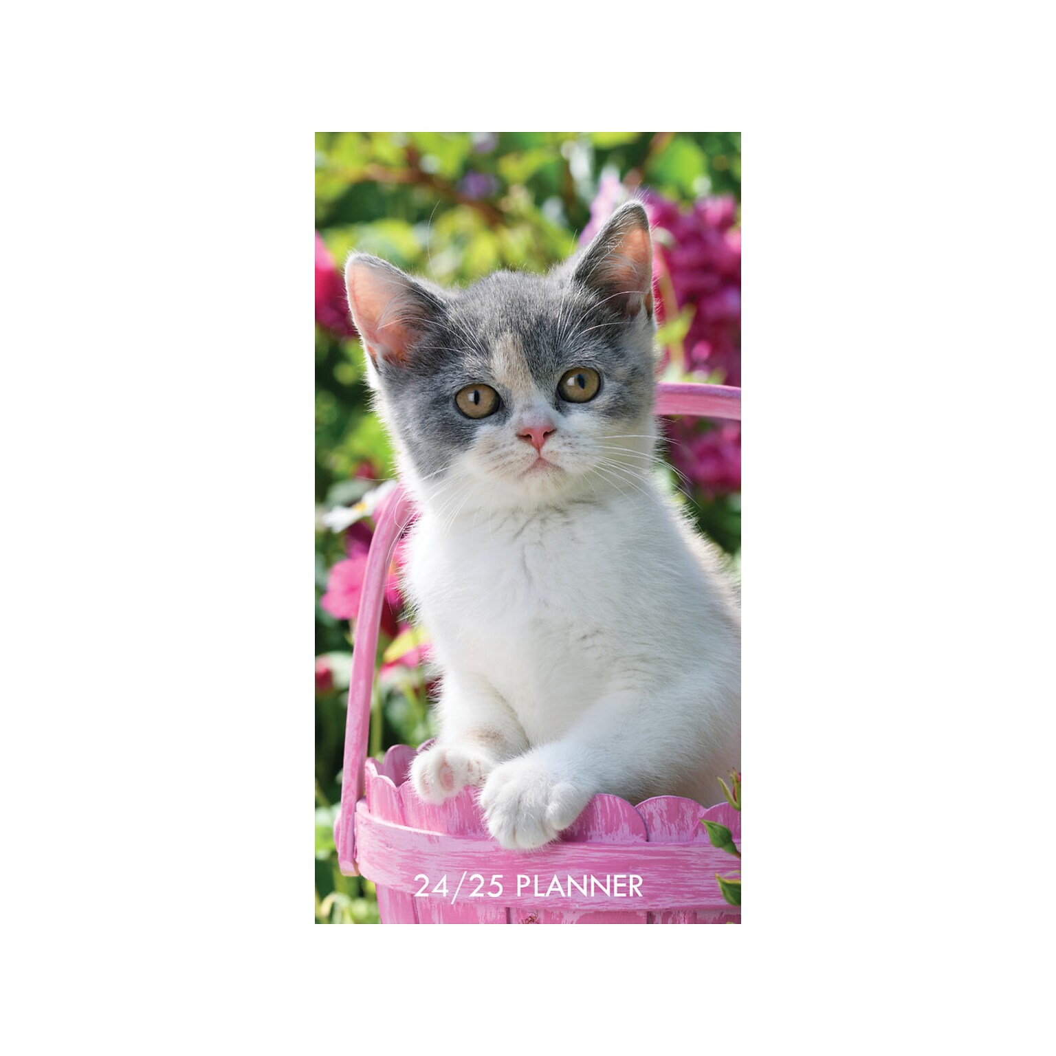 2024-2025 Willow Creek Cute As A Kitten 3.5 x 6.5 Monthly Planner, Multicolor (38475)