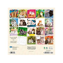 2023-2024 Plato Happy Kittens 12 x 12 Academic & Calendar Monthly Wall Calendar (9781975467180)