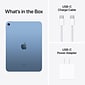Apple iPad 10.9" Tablet, 256GB, WiFi, 10th Generation, Blue (MPQ93LL/A)