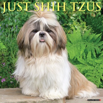 2025 Willow Creek Just Shih Tzus 12 x 12 Monthly Wall Calendar (44872)