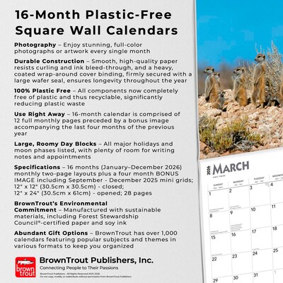 2026 BrownTrout Meerkats 12" x 12" Monthly Wall Calendar (9798330704545)